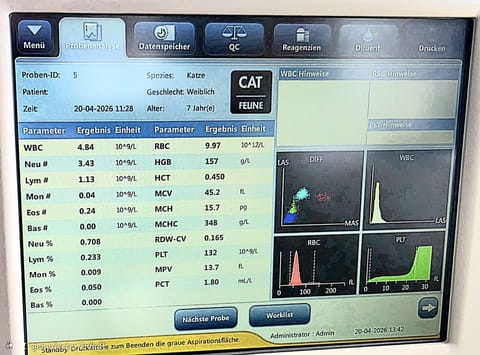 Fertiges Blutbild einer Katze auf dem Bildschirm des Analysegeräts im Hauslabor